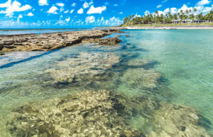 Praia de Maragogi