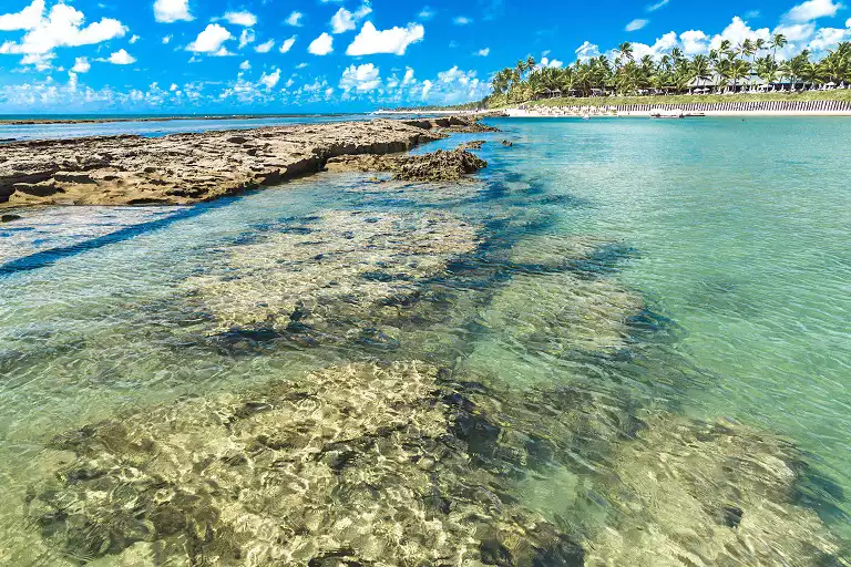 Praia de Maragogi