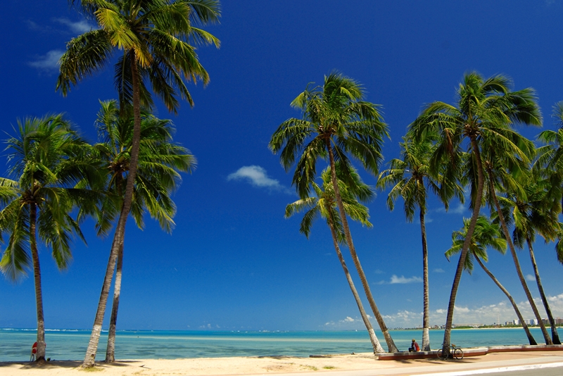 Praia de Ponta Verde