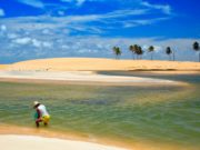 Praia do Delta do São Francisco