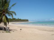 Praia do Passo de Camaragine