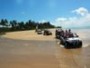 Passeio de Buggy em Alagoas