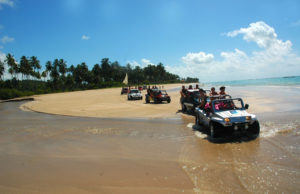 Passeio de Buggy em Alagoas