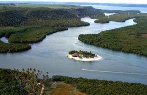 Passeio das 7 ilhas em Alagoas