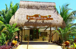 Restaurante Hibiscus Alagoas